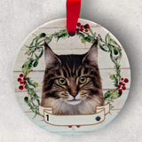 CAT - MAINE COON in Disc