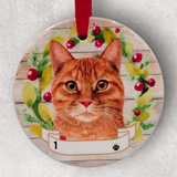 CAT - ORANGE TIGER / TABBY in Disc