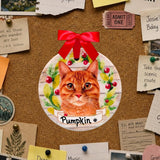 CAT - ORANGE TIGER / TABBY in Disc