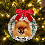 DOGS - POMERANIAN - Disc