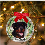 DOGS - ROTTWEILER - Disc