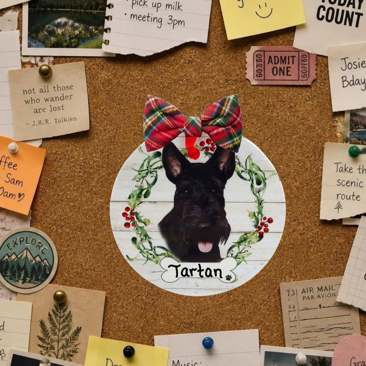 DOGS - SCOTTISH TERRIER - Disc