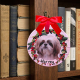 DOGS - SHIH-TZU - BROWN & WHITE - Disc