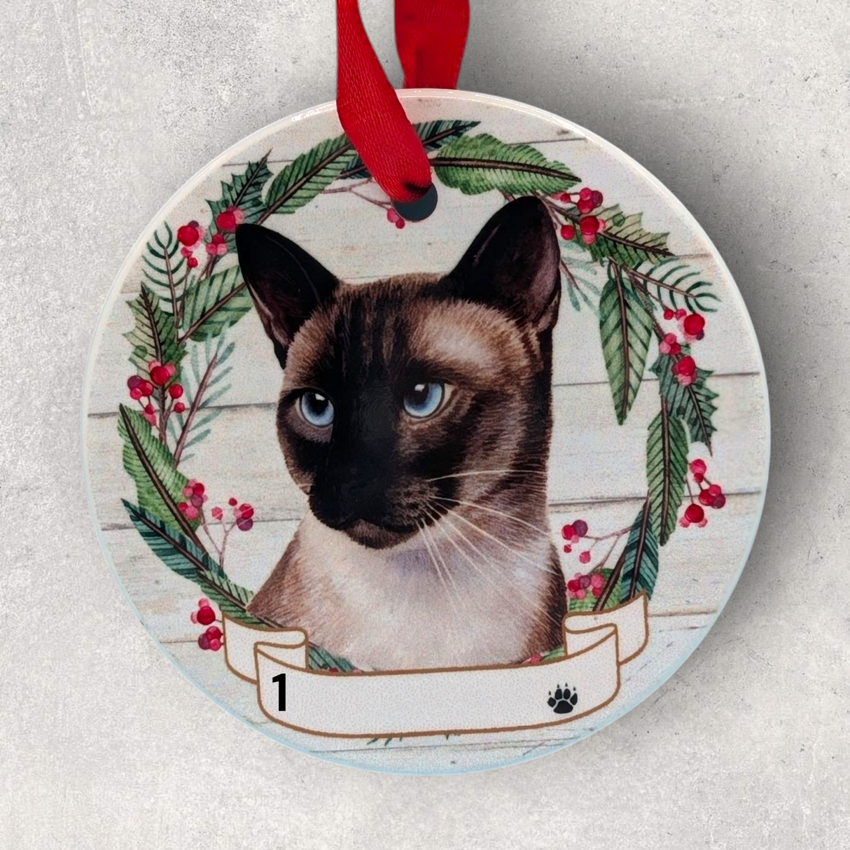 CAT - SIAMESE in Disc