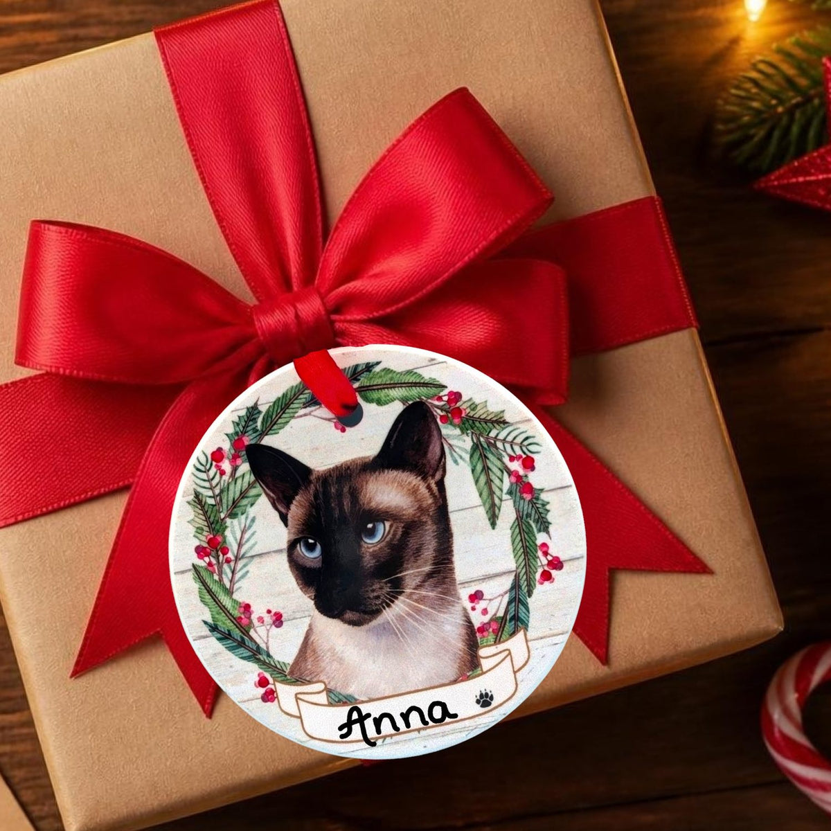 CAT - SIAMESE in Disc