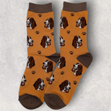 BASSET HOUND - SOCKS