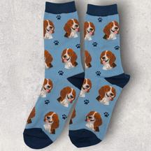 SOCKS - BEAGLE