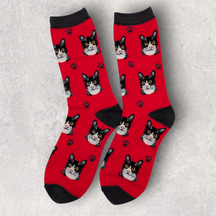 SOCKS - CAT - BLACK & WHITE / TUXEDO