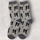 BORDER COLLIE - SOCKS