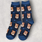 BULLDOG SOCKS