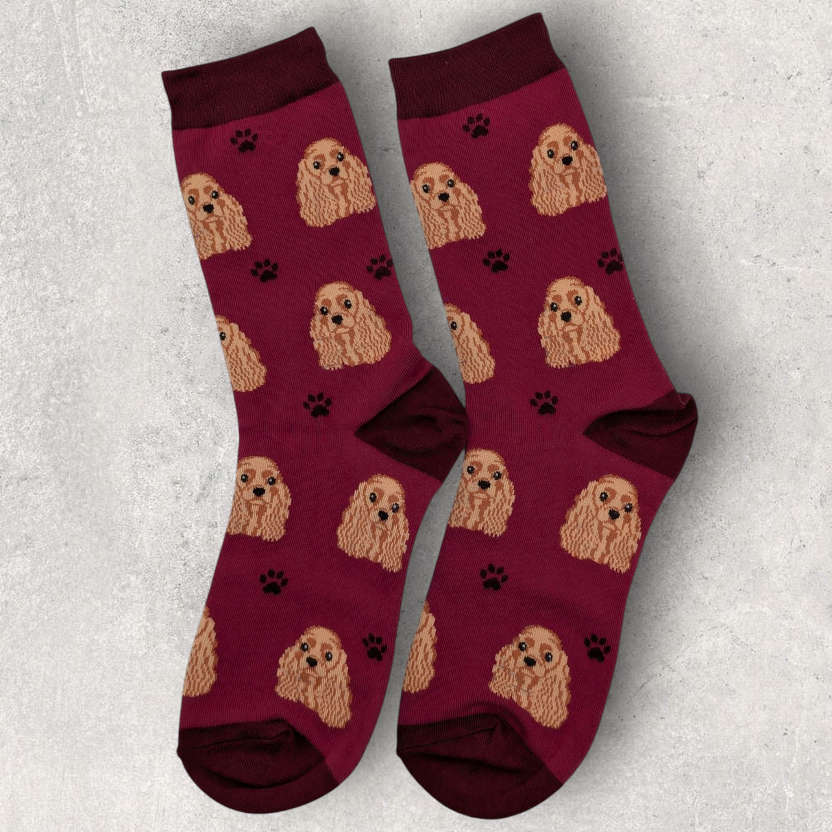 COCKER SPANIEL (GOLDEN / BUFF) - SOCKS