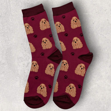 SOCKS - COCKER SPANIEL (GOLDEN / BUFF)