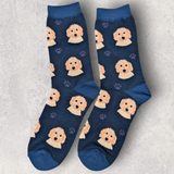 GOLDENDOODLE - SOCKS