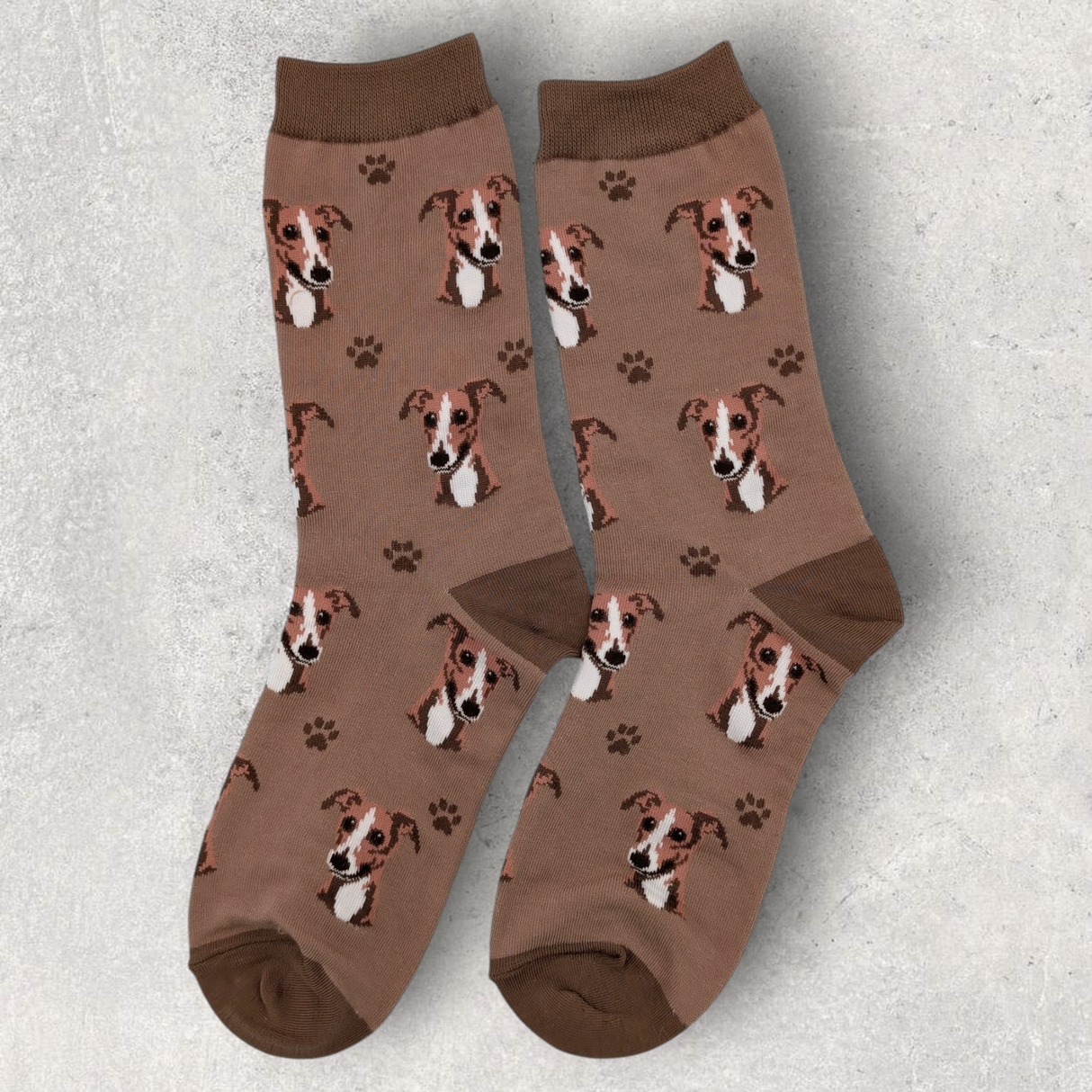 GREYHOUND - SOCKS
