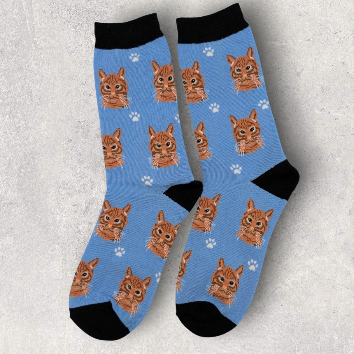 ORANGE TABBY / TIGER CAT - SOCKS
