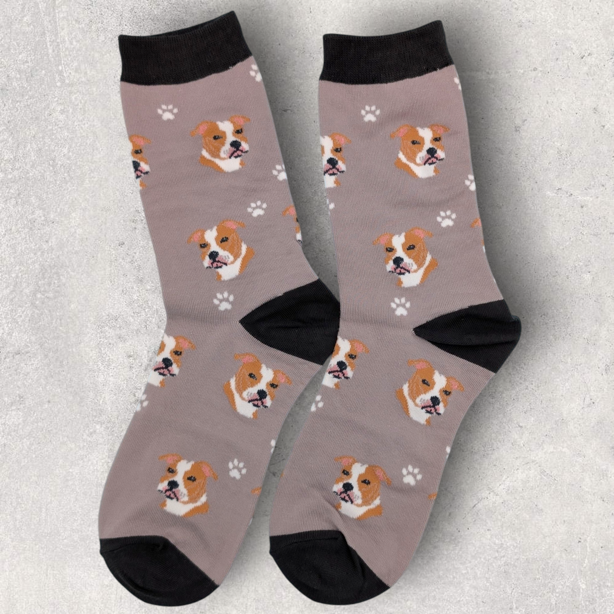 PIT BULL - SOCKS