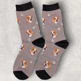 PIT BULL - SOCKS