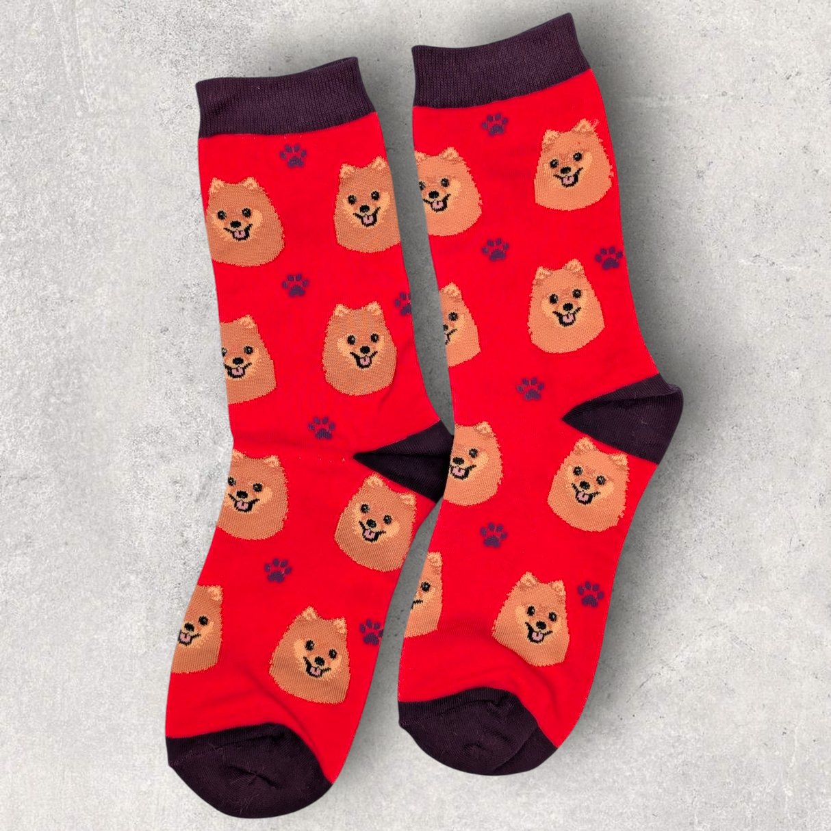 POMERANIAN - SOCKS
