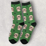SHIH TZU - (WHITE & TAN) SOCKS