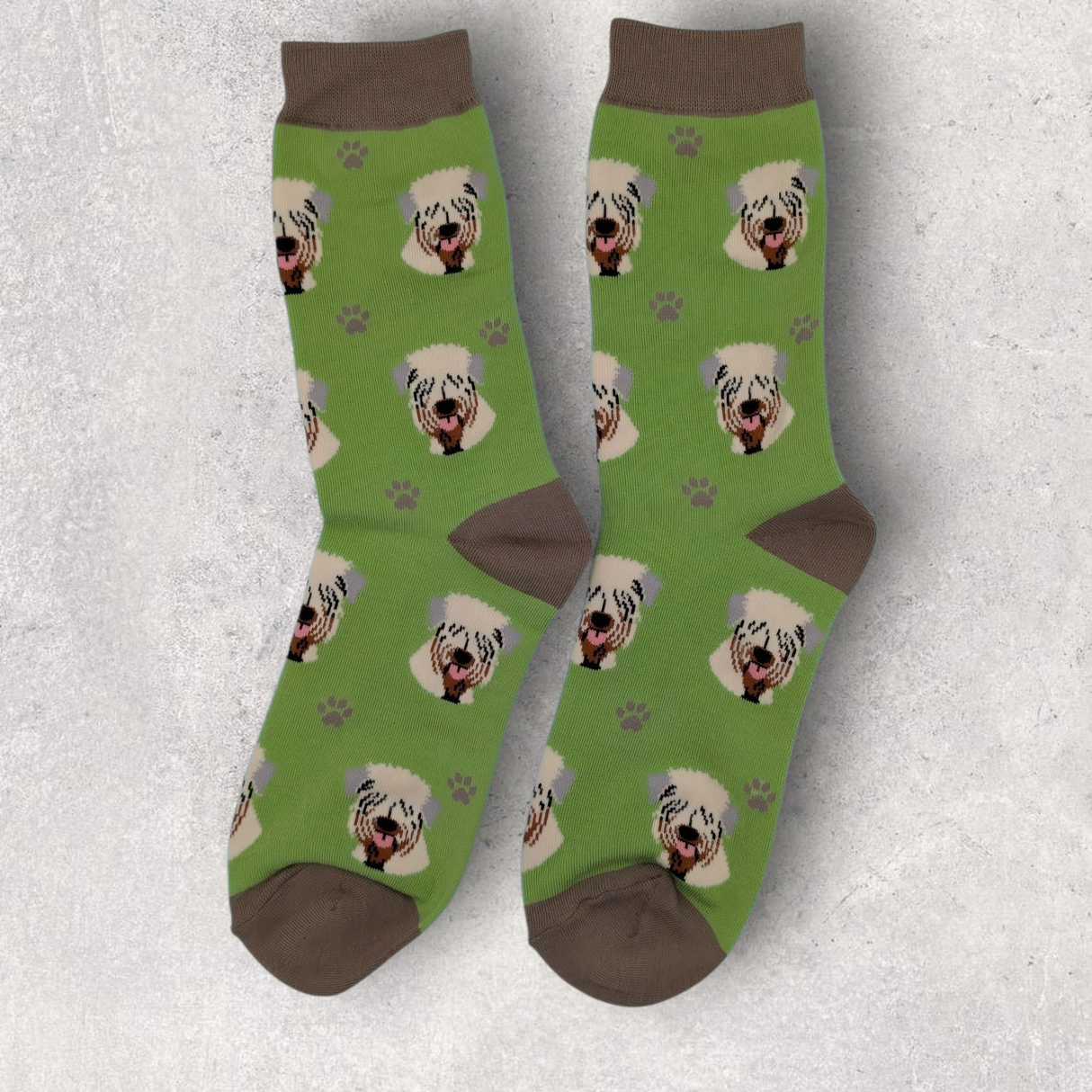 SOFT-COATED WHEATEN TERRIER SOCKS