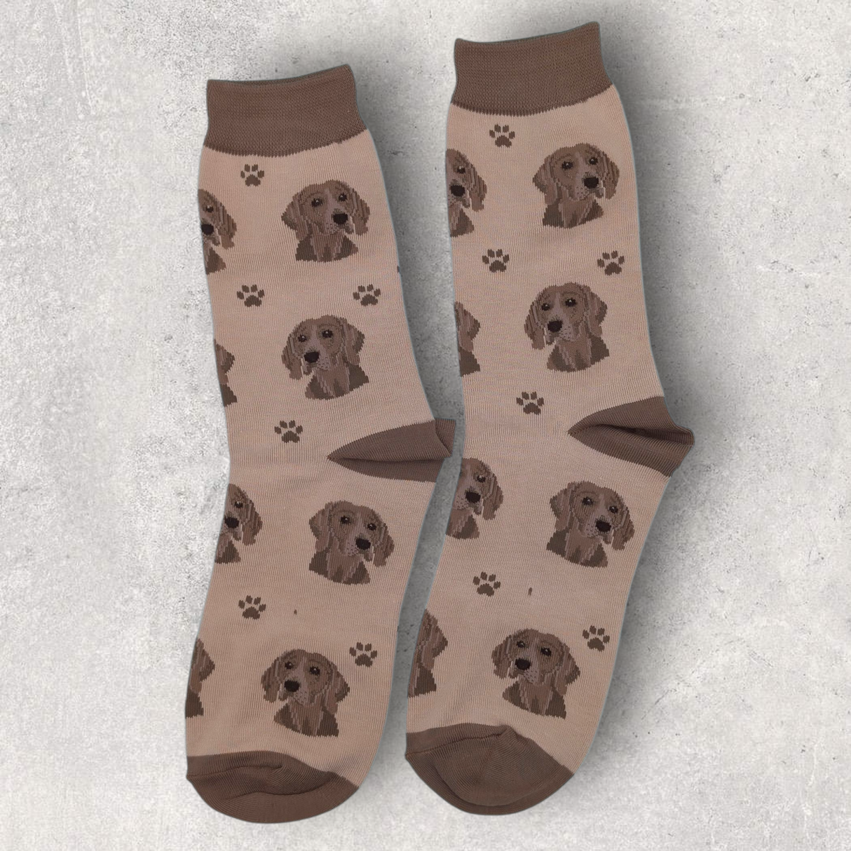 WEIMARANER SOCKS