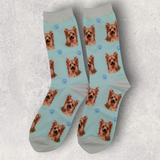 YORKIE SOCKS