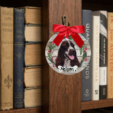 DOGS - SPRINGER SPANIEL - Disc