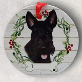 DOGS - SCOTTISH TERRIER - Disc