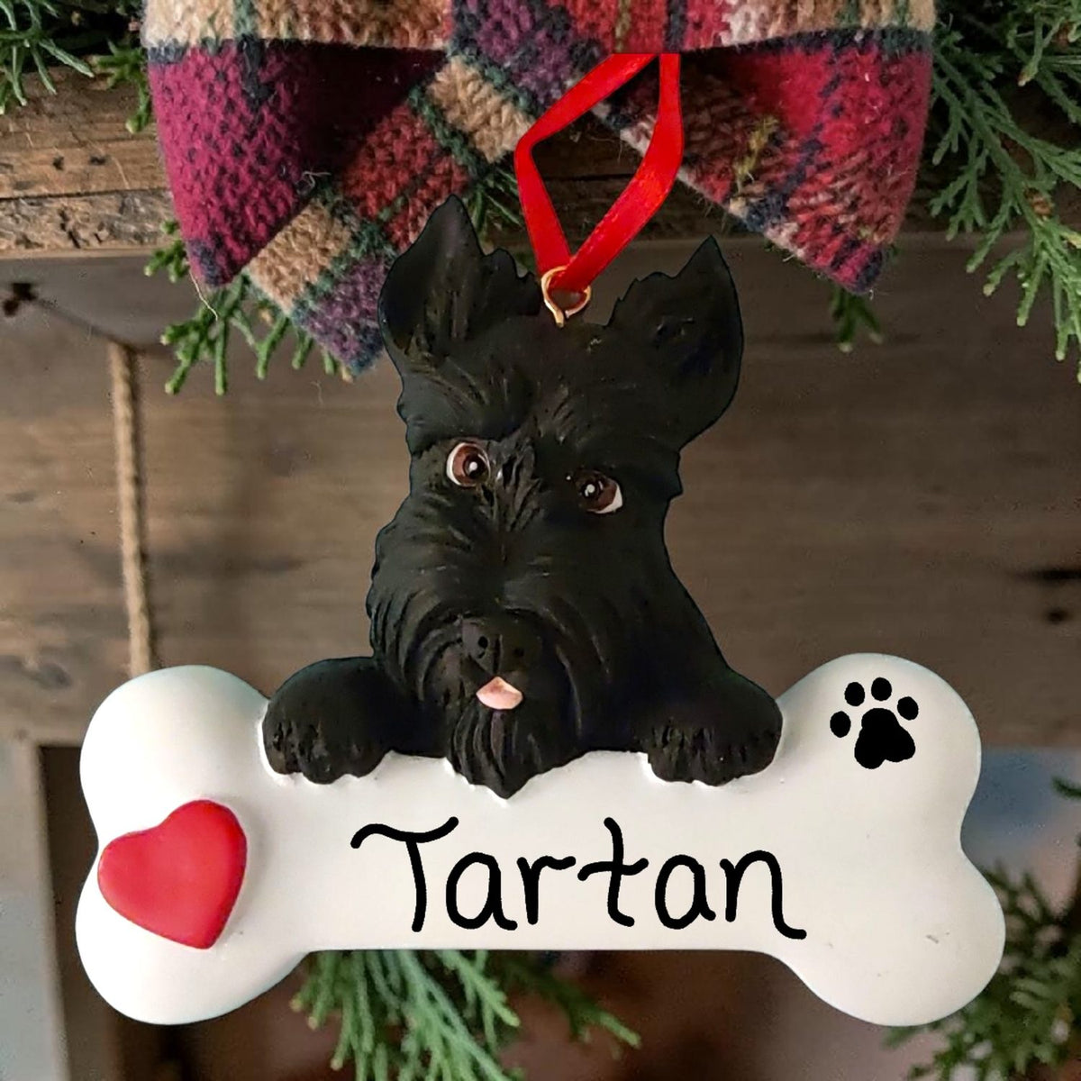 DOGS - SCOTTISH TERRIER - Bone