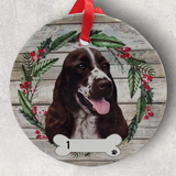 DOGS - SPRINGER SPANIEL - Disc