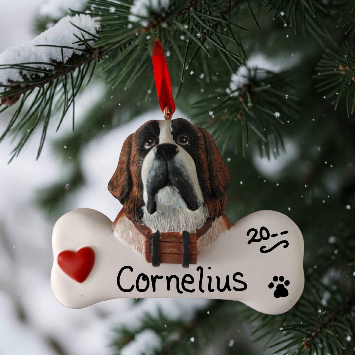 DOGS - SAINT BERNARD - Bone