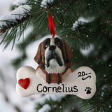 DOGS - SAINT BERNARD - Bone
