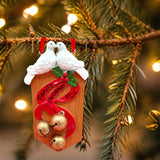 SLED Ornament - with 2 DOVES