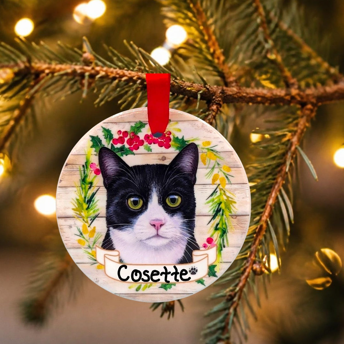 CAT - BLACK & WHITE in Disc