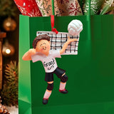 Volleyball Ornament - Male Brunette - Net & Ball