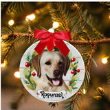 DOGS - YELLOW LAB - Disc