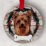 DOGS - YORKIE - Disc