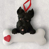 DOGS - SCOTTISH TERRIER - Bone