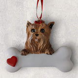 DOGS - YORKIE - Bone