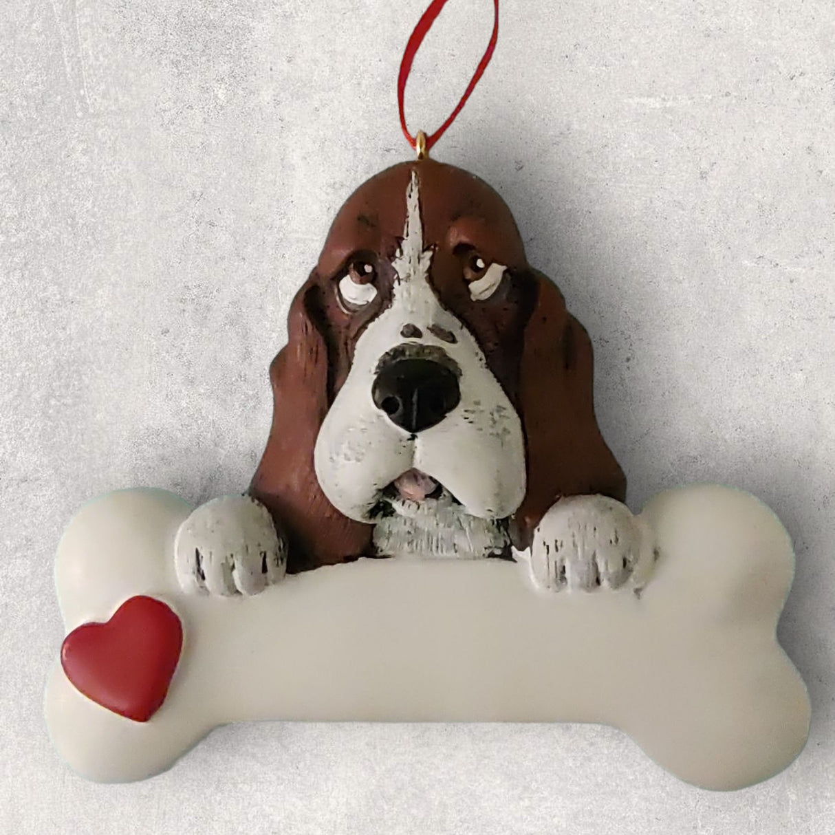 DOGS - BASSET HOUND - Bone