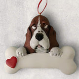DOGS - BASSET HOUND - Bone