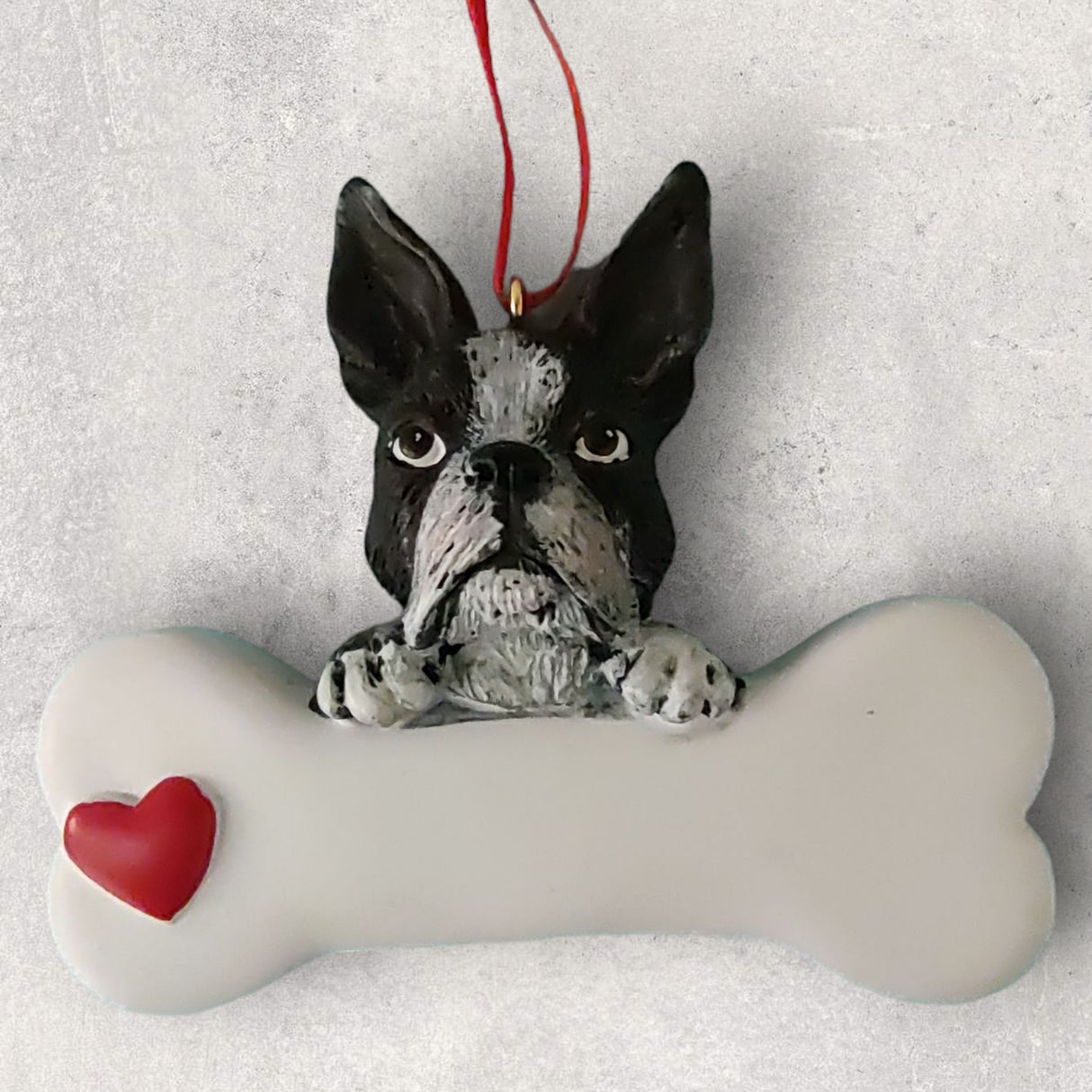 DOGS - BOSTON TERRIER - Bone
