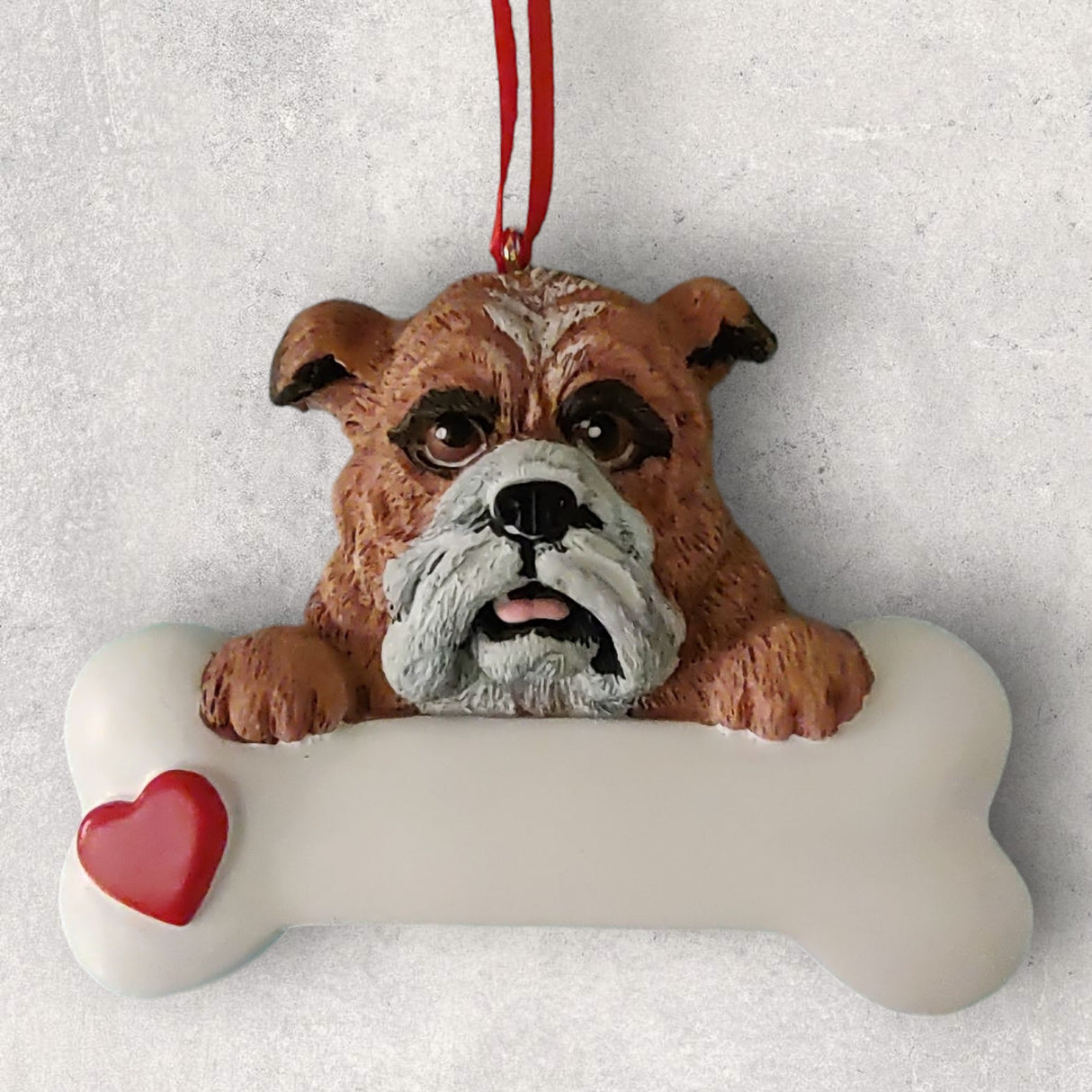 DOGS - BULLDOG - Bone