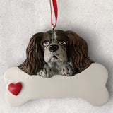 DOGS - CAVALIER KING CHARLES - Bone