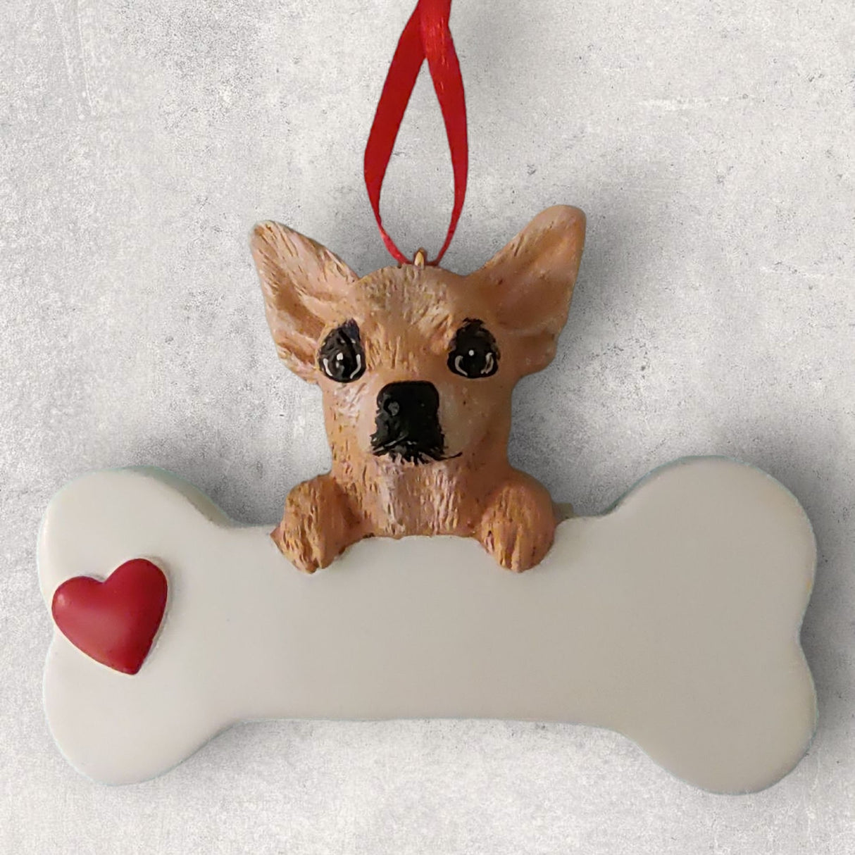 DOGS - CHIHUAHUA - Bone