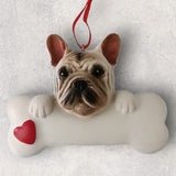 DOGS - FRENCH BULLDOG - Bone