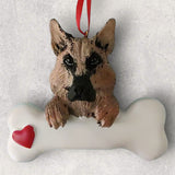 DOGS - GERMAN SHEPHERD - Bone