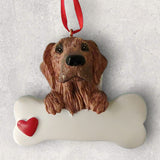 DOGS - GOLDEN RETRIEVER - Bone