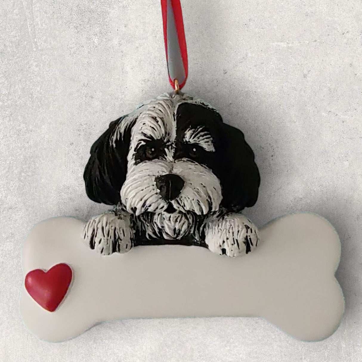 DOGS - HAVANESE - Bone