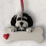 DOGS - HAVANESE - Bone